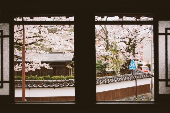 ゲストハウス 白  日本のゲストハウスをお得に探せるサイト GUEST HOUSE
